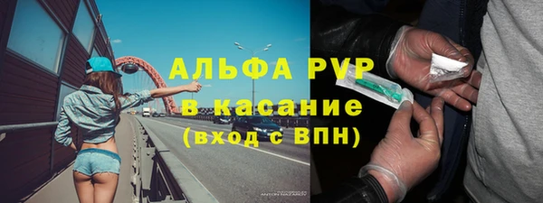 2c-b Пересвет